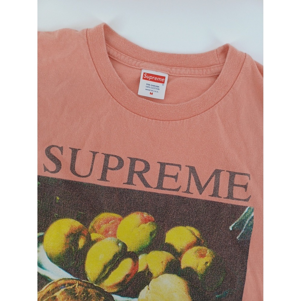 Supreme Terracotta Still Life Mens Meduim Tee Made In USA